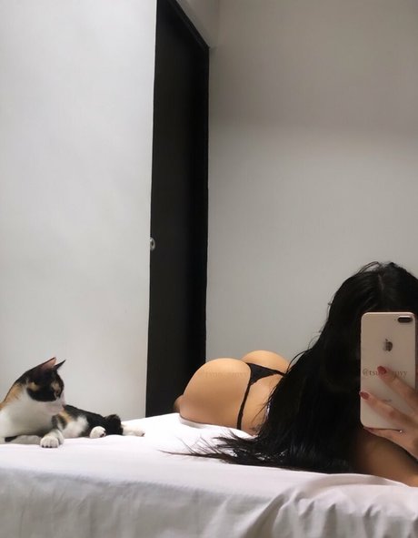 tsunamy 独占女優 写真