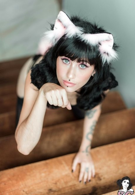 Felline SG 独占女優 画像