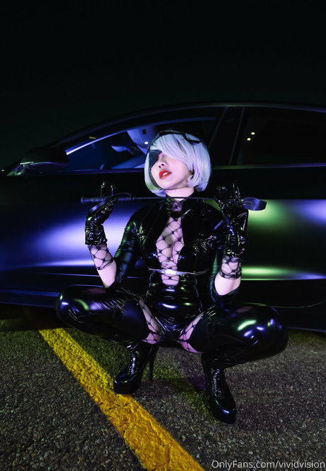 vividvision アートモデル 写真