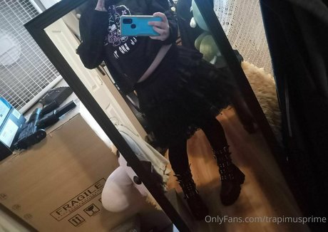 trapimusprime 美しいスター 写真