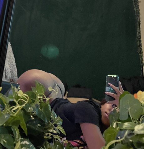 痩せた美女オンリーファンズ ホットセックス アーカイブ