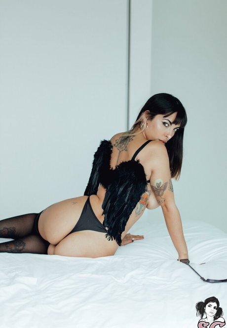 turkanotdead スター アーカイブ