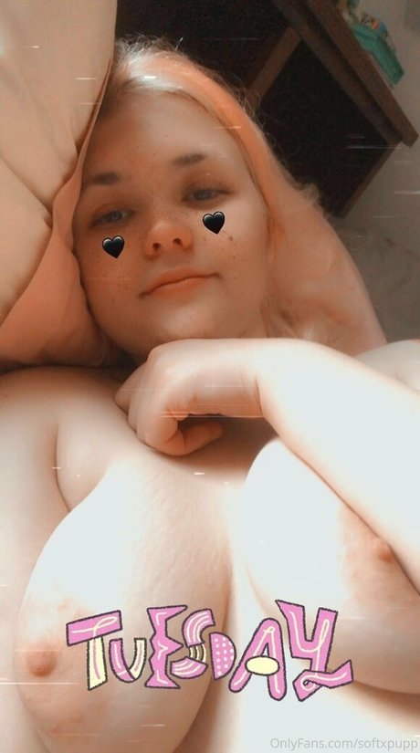 アジア系ゲイオンリーファンズ トップ 写真
