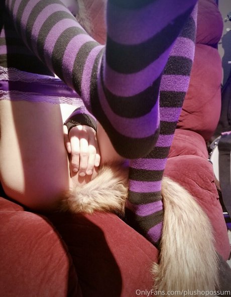 plushopossum 美しいスター 写真