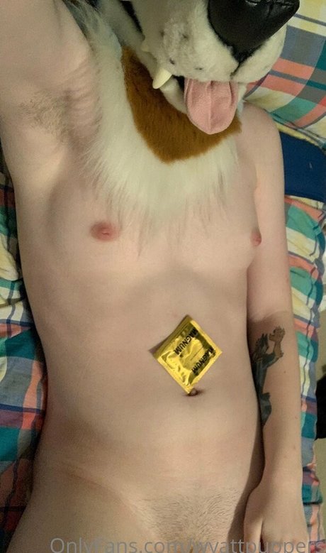 wyattpuppers セクシーなスター アーカイブ