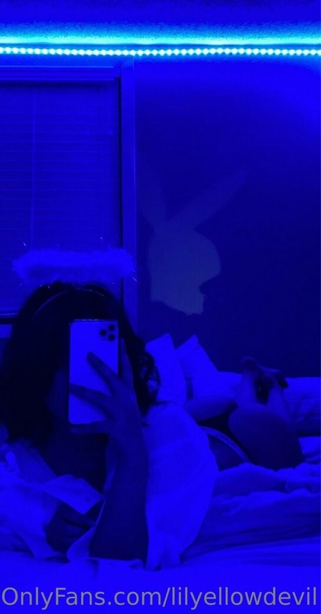 Lilyellowdevil アートスター 写真