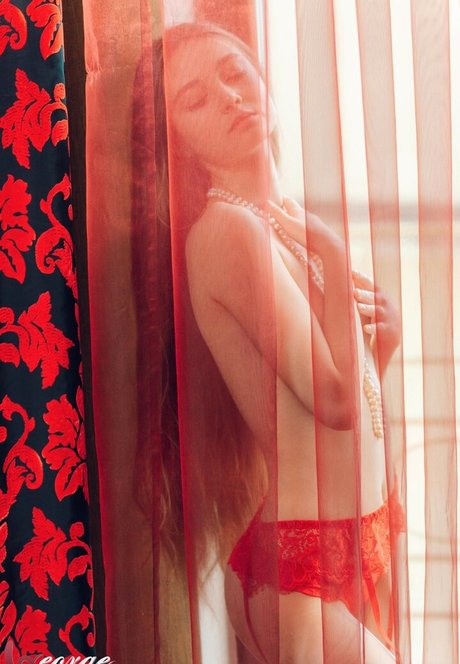 monsterschwanz-onlyfans exklusive akt archiv