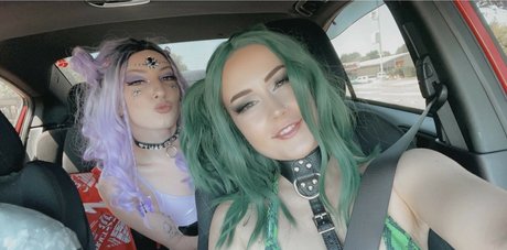 kitten kyra perfekte kostenlose foto