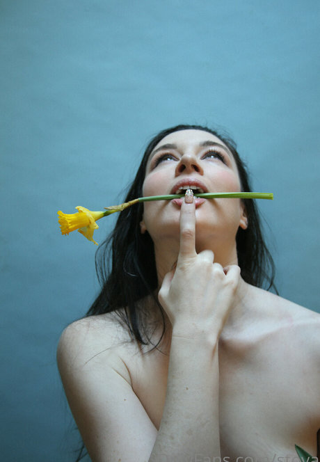 Stoya exklusive hübsche bilder