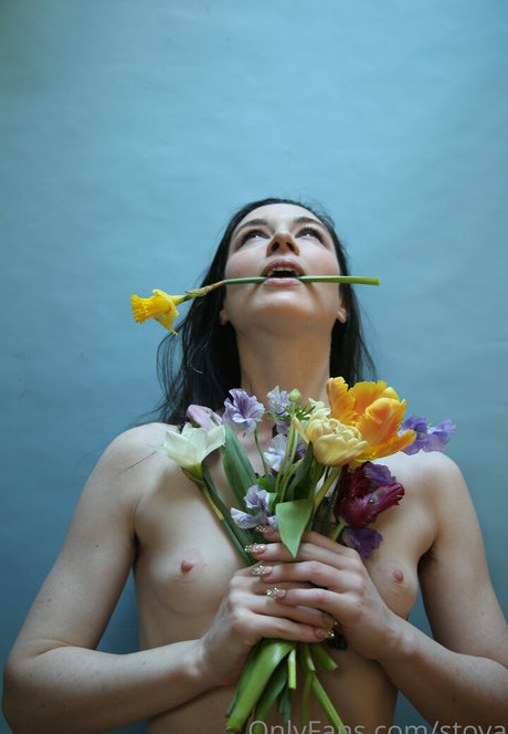 Stoya beste schöne galerie
