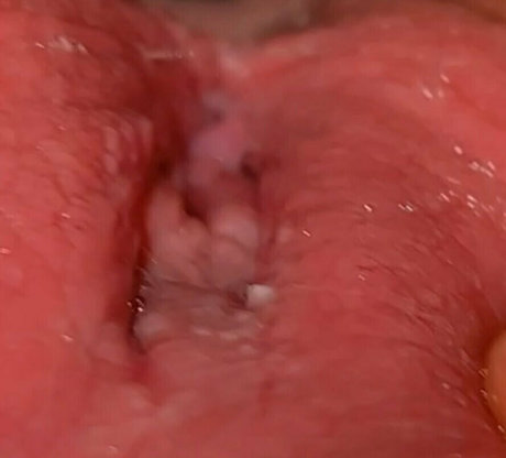 monsterschwanz-onlyfans xxx sexy archiv