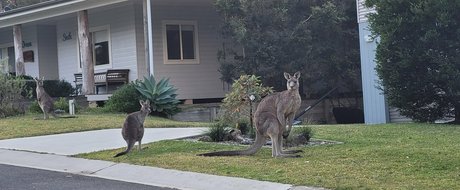 tammycheeks nacktheit heiße archiv