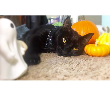 dessous milf onlyfans schöne pornographische archiv