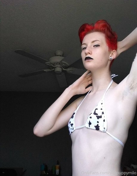 slutpuppymilo Profilbild