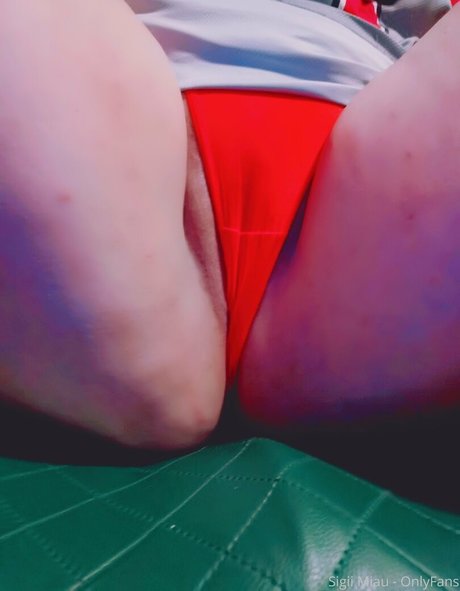 sigiimoo kunst perfekte bilder