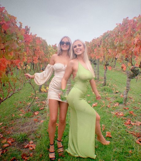 ellaredmond kunst kostenlose galerien