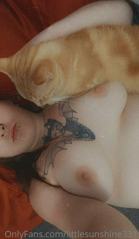 littlesunshine331 top schöne archiv