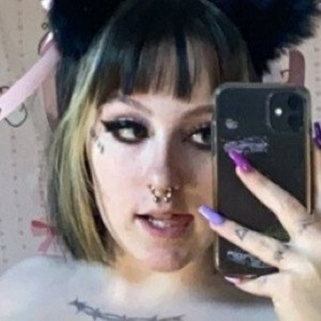 f urbee kostenlose beste foto