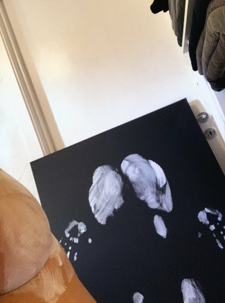 Imhauser_ freie hübsche foto