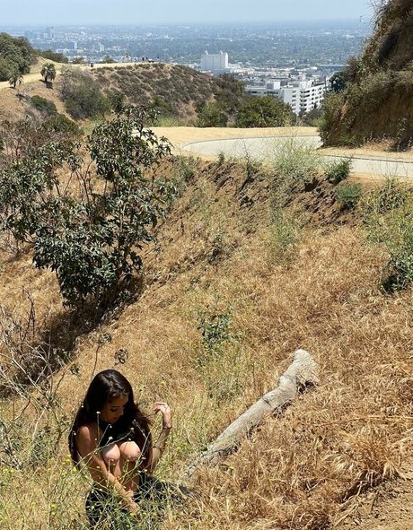 kätzchen kostenlos nur fans beste schöne bilder