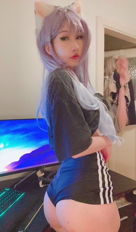 tanukiicos hübsche beste archiv