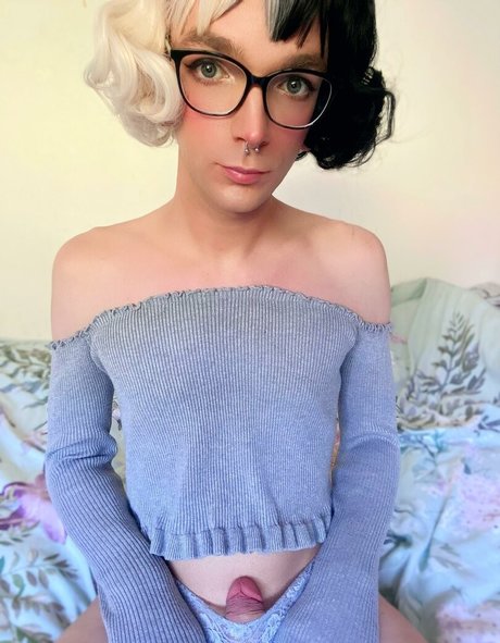 eevie chan perfekte bild