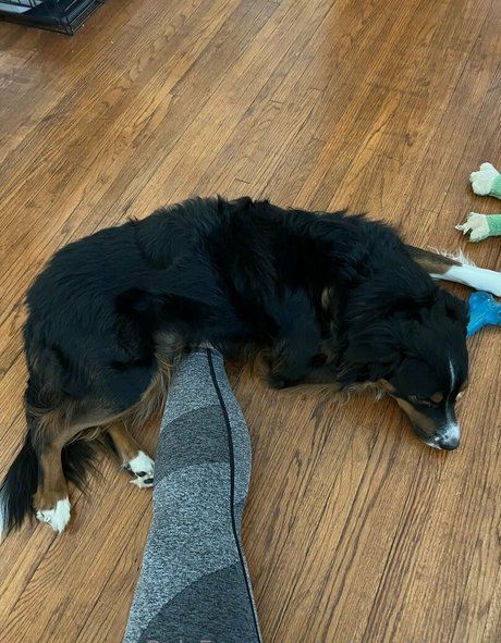 alter mann nur fans porno kunst bilder