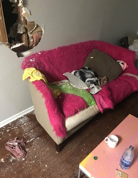 haariger analsex nur fans heiße nackten galerien