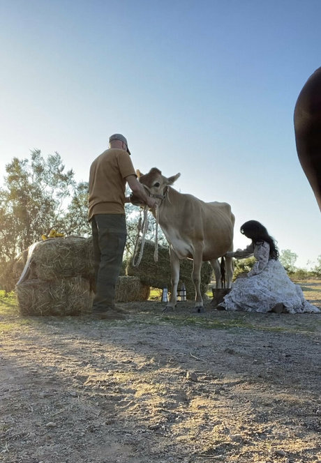 Reedsuicide kunst xxx bild