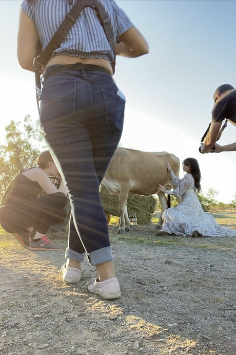 Reedsuicide erwachsene galerie