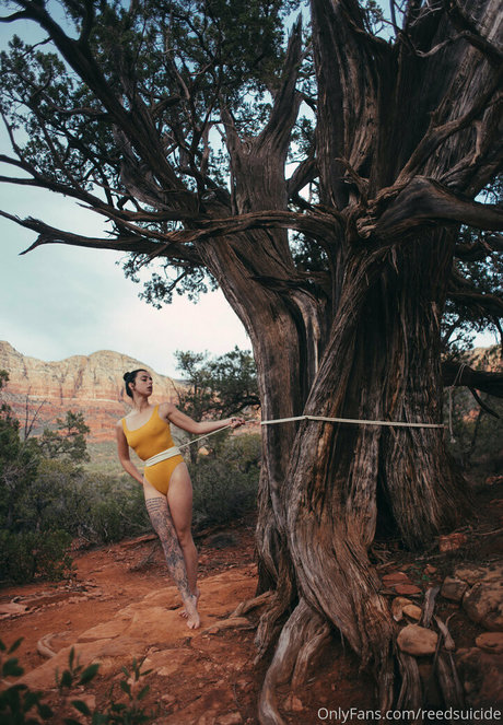 Reedsuicide Profilbild