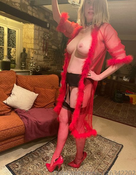 Charlie Cat kunst nette galerien