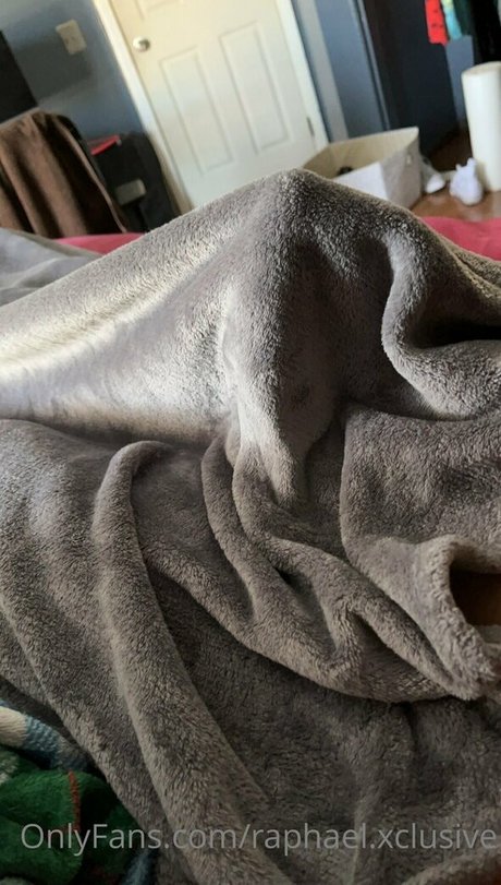 nocapraph top perfekte archiv