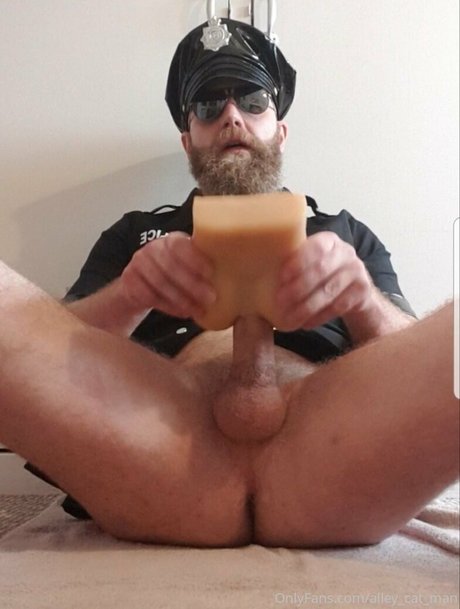 alley cat man hübsche erwachsene foto