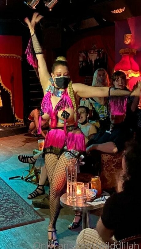 wilddlilah beste galerie