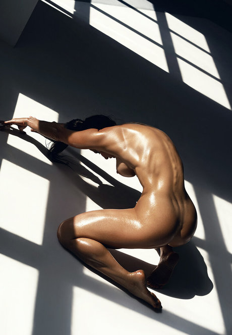 Pumafit perfekte archiv