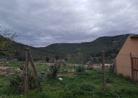 tommypistol freie kunst galerie