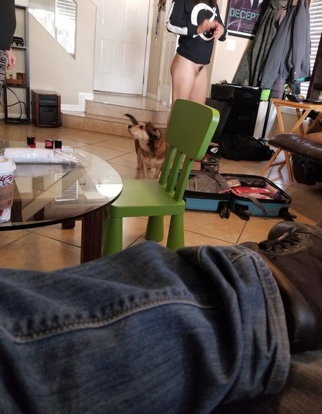 tommypistol top schöne bild