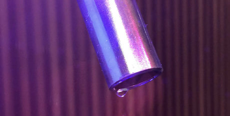 clubstarfall erotische pornostar bilder