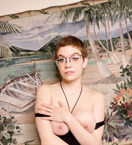 boxen nur für fans schöne hübsche galerien