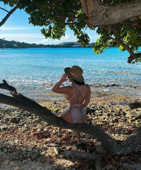 bbw-transe nur fans hd pornographische bilder