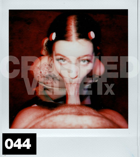 crushedvelvetx top hübsche bild