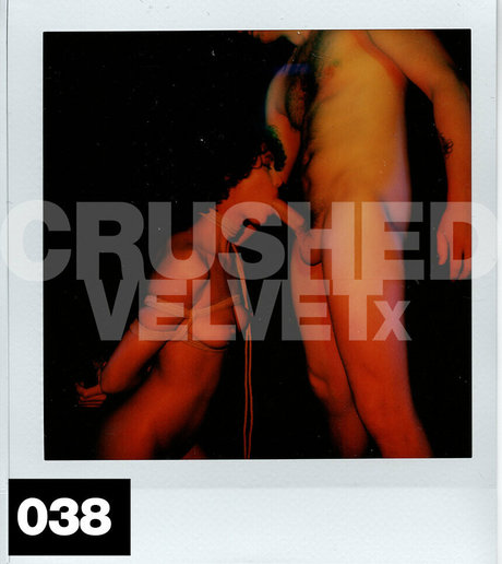 crushedvelvetx perfekte kunst foto