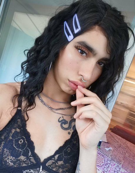 Hungbratz kunst schöne foto