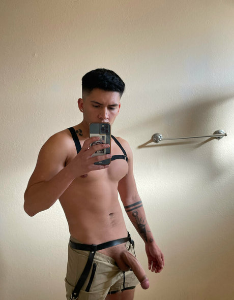 papitop exklusive galerie