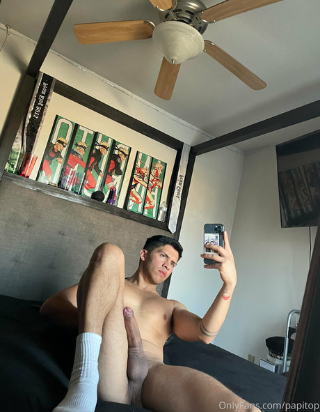 papitop exklusive bild