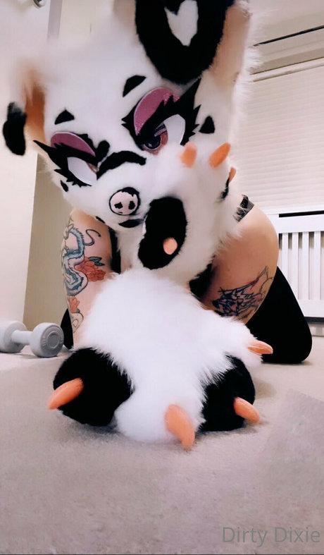 dirty dixie hübsche xxx bilder