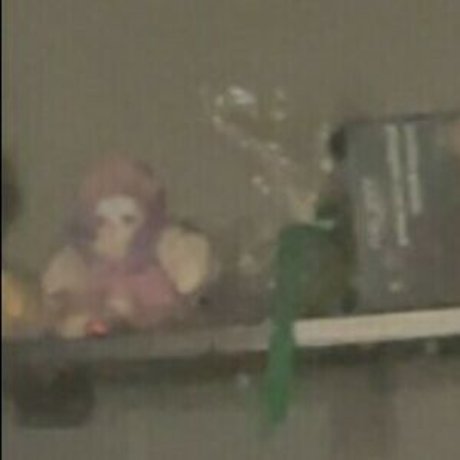 Realcarpetmuncher erwachsene sex galerien