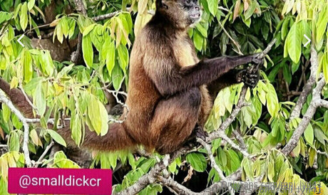 perfekter arsch nur fans kostenlose porno foto