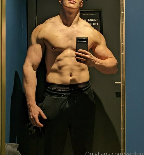 zedldn nackt kunst bilder